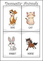 Vocabulary Printables - Flash Cards / Educational Posters ...